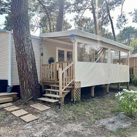 La Cabane Des Pins Lège-Cap-Ferret Extérieur photo