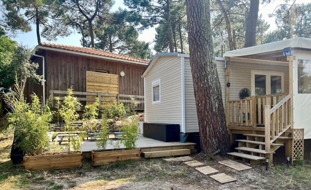 La Cabane Des Pins Lège-Cap-Ferret Extérieur photo